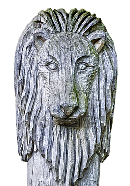 雕塑,holzfigur,狮子