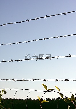 鐵絲網(wǎng),金屬,籬笆