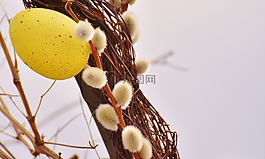 褪色柳,春天,復(fù)活節(jié)彩蛋