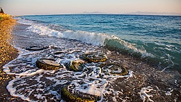 海,人体内的水,沿海