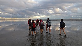 wadlopen,放松,步行