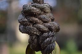 節(jié),繩索,修復(fù)