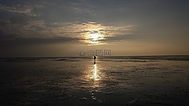 wadlopen,荷蘭,瓦登海