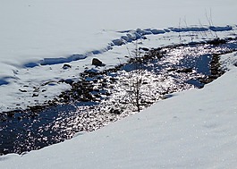 河,過(guò)獨(dú)身生活,水