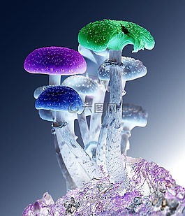 photoshop,蘑菇,psychedelic