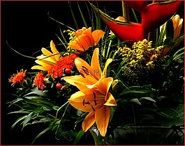 束鮮花,鮮花,花束