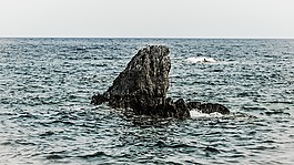 石,單,海