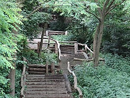 樓梯,森林,性質(zhì)