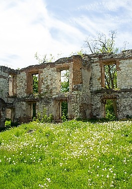 bychawa,废墟,城堡