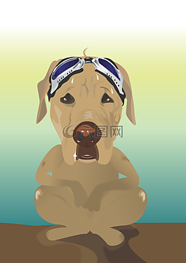 沙皮狗,狗,動(dòng)物