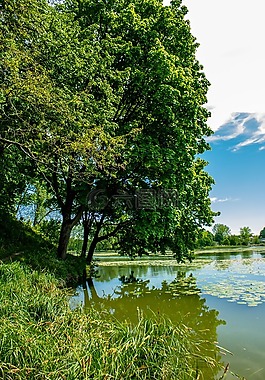 bychawa,环礁湖,水