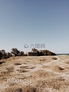 生活,美,現(xiàn)場(chǎng)