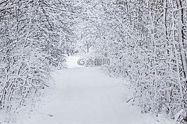 冬天,萨克森,性质