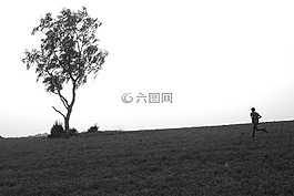 生活,美,現(xiàn)場