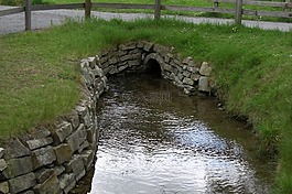 過獨(dú)身生活,草地,離