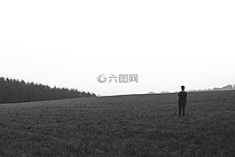 生活,美,現(xiàn)場(chǎng)