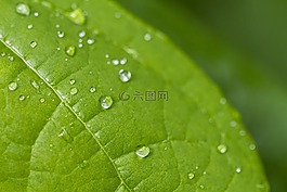生活,美,現(xiàn)場