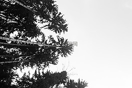 生活,美,現(xiàn)場