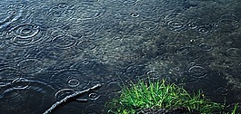 雨,湖,假期