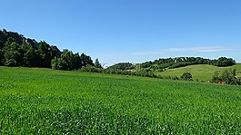 jerzmanowice,波兰,景观