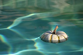 水,南瓜,濕