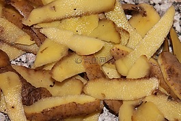 土豆菜,有机废物,壳