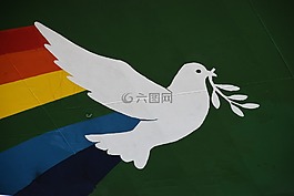 greepeace,希望,鴿子