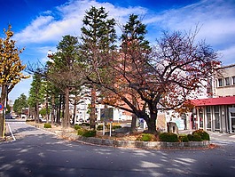 岡崎,日本,城市