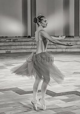 芭蕾舞團(tuán),舞蹈家,芭蕾舞女演員