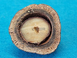 一半的核果类果树,姜 petersiana,makalani 螺母