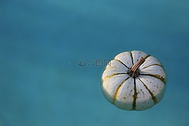 水,南瓜,濕