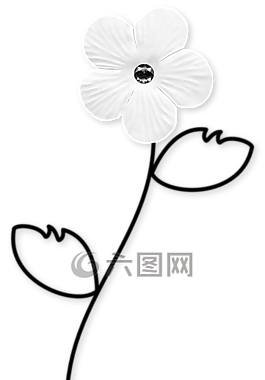 花卉,白,黑