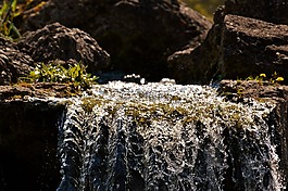 水,過(guò)獨(dú)身生活,性質(zhì)