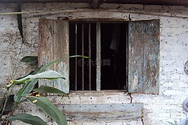 舊的窗口,困擾,后院