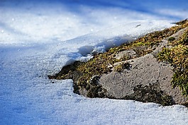 石,冰雪覆蓋,雪