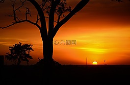 生活,美,現(xiàn)場