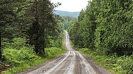 泥路,路,污垢