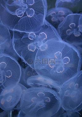 生活,美,現(xiàn)場