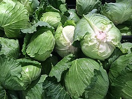 白菜,綠色,堆起