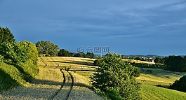 景觀,黃昏,字段