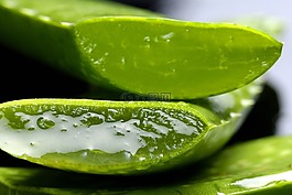 蘆薈,蘆薈精華素,生活