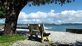 mar,海灘,假期
