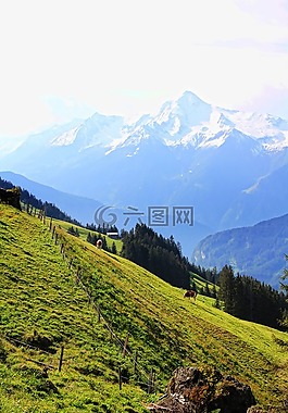 奧地利,山,高山