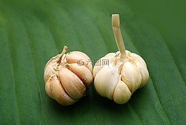 香料,大蒜,食品