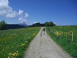 離,全景徑,徒步旅行