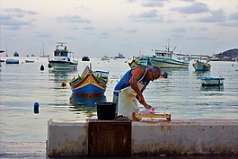海,魚,市場
