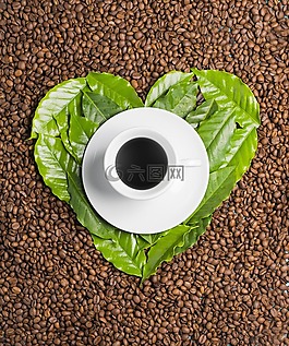 咖啡,愛(ài)情,葉