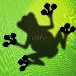 青蛙,廠,葉子