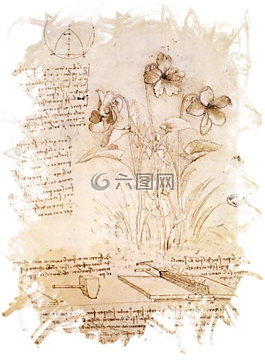 達(dá) · 芬奇,花,紙