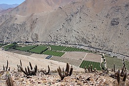 山,智利,paihuano